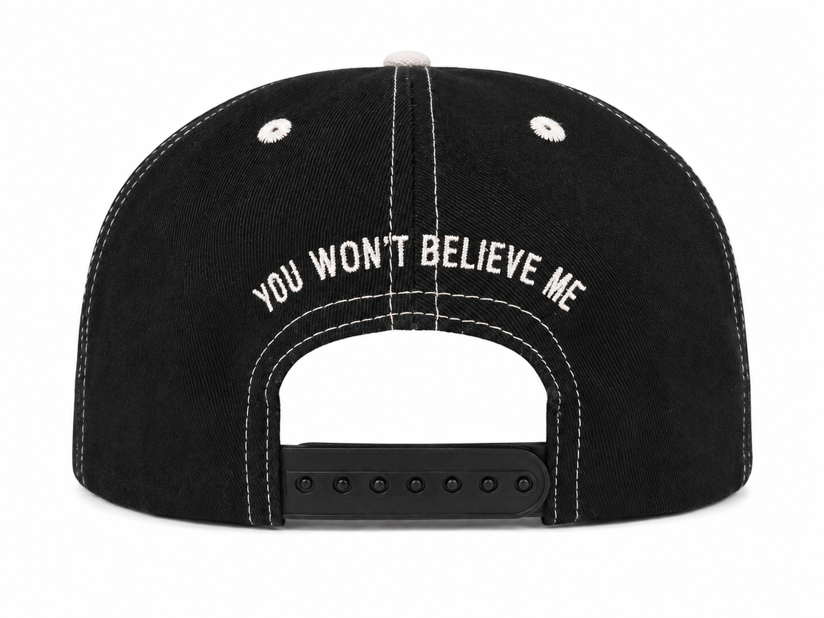 You Won't Believe Me Snapback